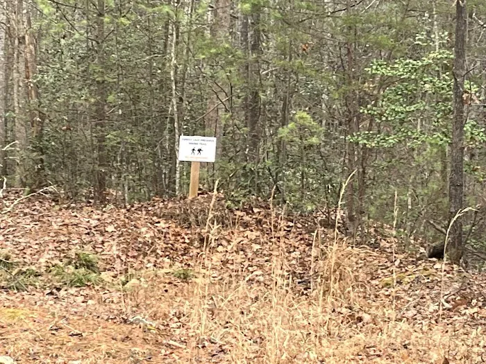 Lake James Glamping 4