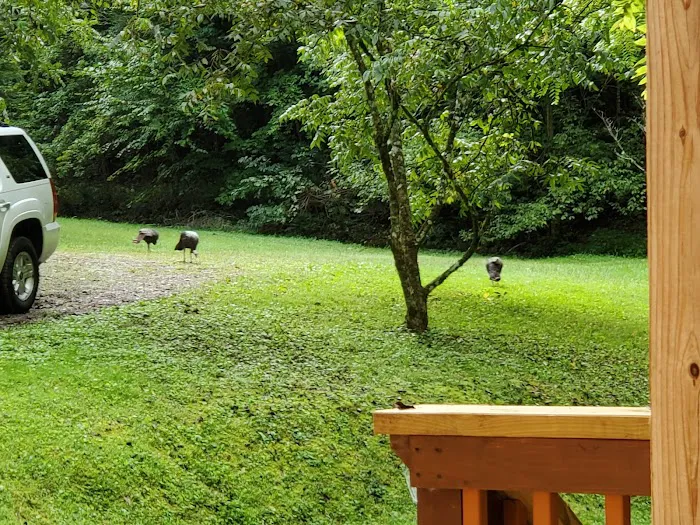 Creekside Cabin at Stonecreek Cabins 4