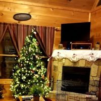 I Do Cabin ico