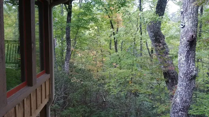 I Do Cabin 4