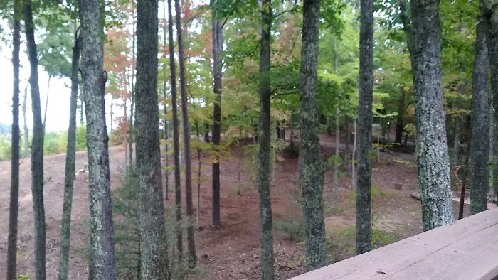 I Do Cabin 4