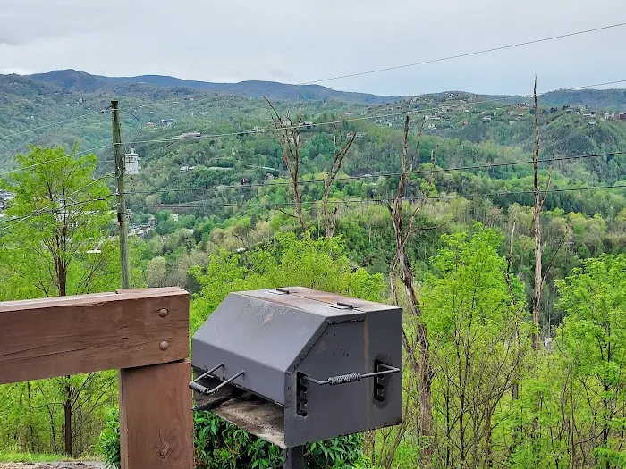 Mountain Fox Lodge 4