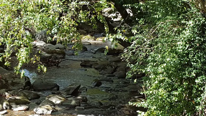Roaring Fork Log Cabins 4