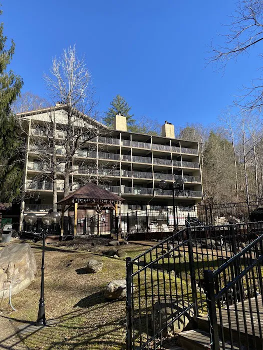 Tree Tops Resort 4