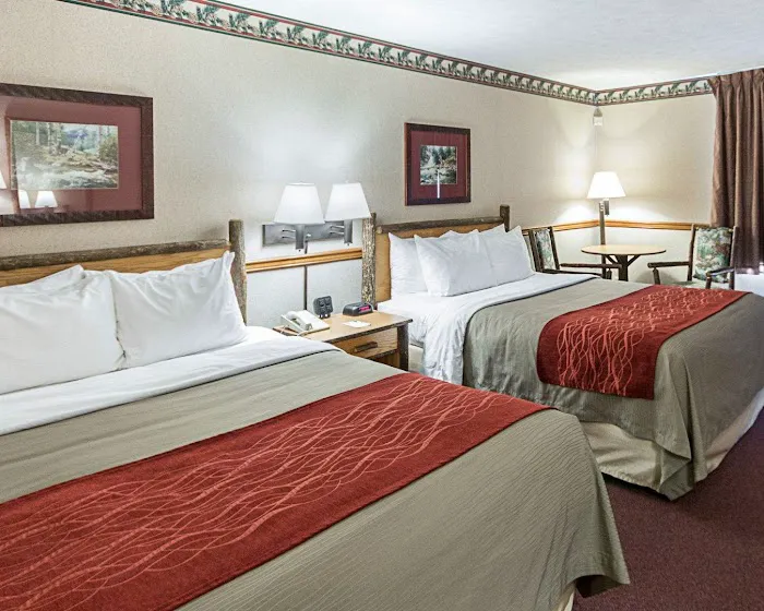 Quality Inn & Suites 4
