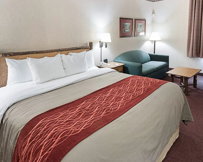 Quality Inn & Suites 4
