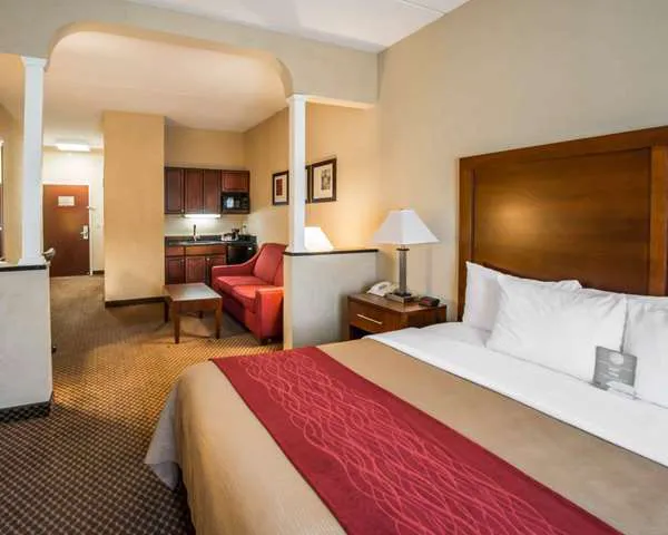 Comfort Inn & Suites 4