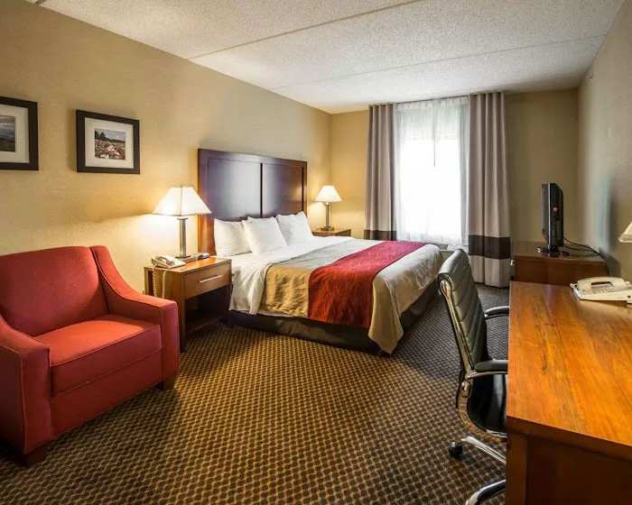Comfort Inn & Suites 4
