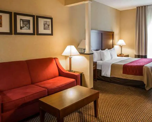 Comfort Inn & Suites 4