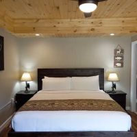 The Carter Lodge ico