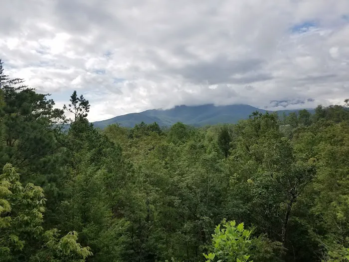 Misty Mountain View 4
