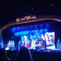 dollywood ico