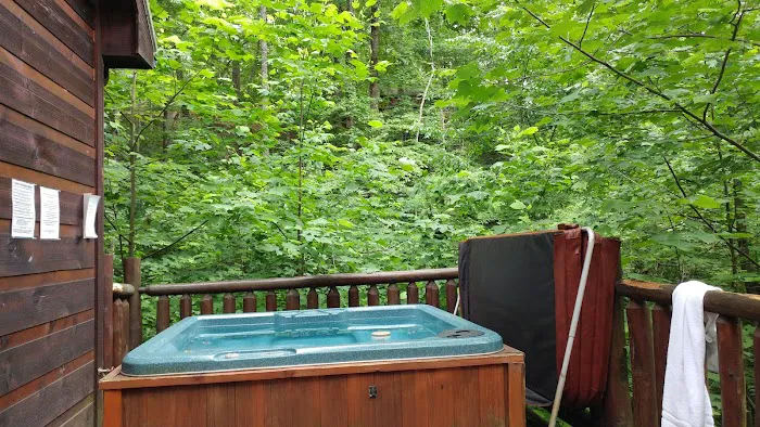 Cedar Point Cabin 4
