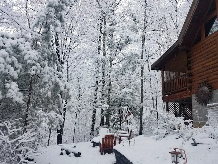 The Woodland Rose Cabin 4