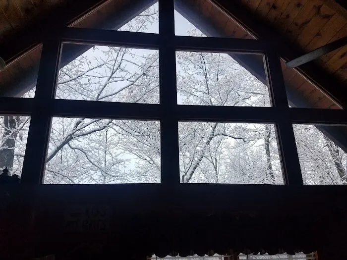 The Woodland Rose Cabin 4