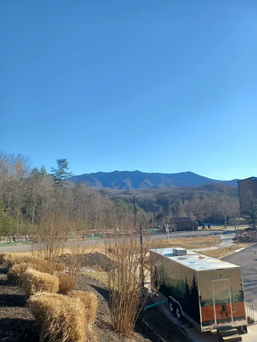 Townhome 129 at Bluegreen Vacations MountainLoft Resort 4
