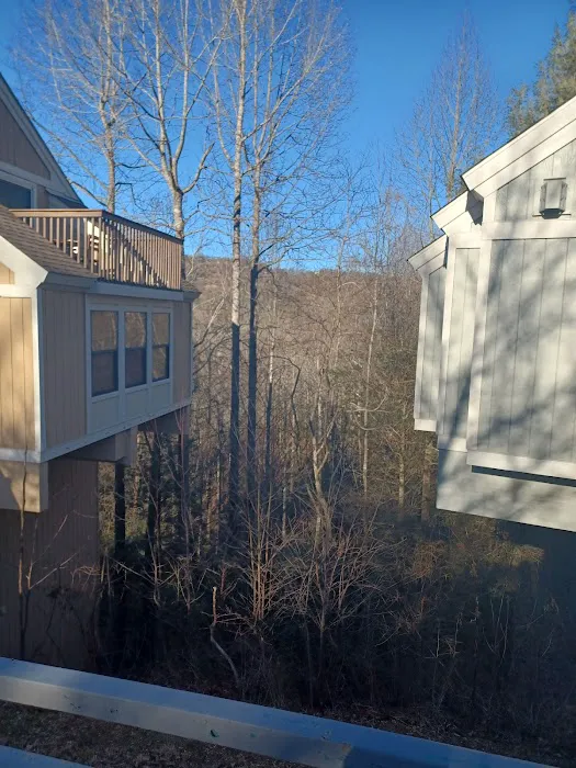 Townhome 129 at Bluegreen Vacations MountainLoft Resort 4