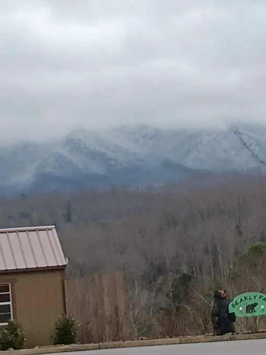 Townhome 110 at Bluegreen Vacations MountainLoft Resort 4