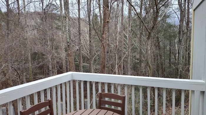 Townhome 110 at Bluegreen Vacations MountainLoft Resort 4