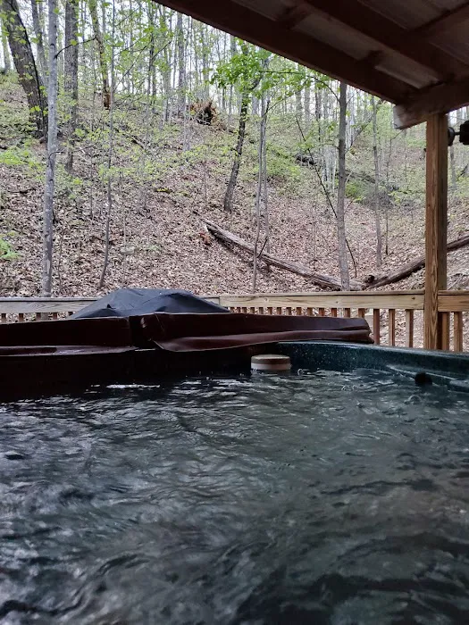 Paytons Place Cabin 4