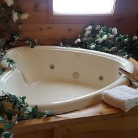 Away For Romance Cabin ico