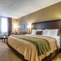 Quality Inn ico