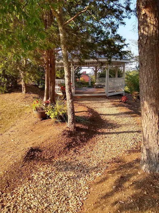 Vela's Villa 4