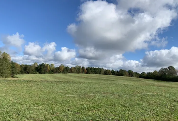 Long Branch Farm 4