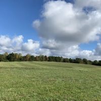 Long Branch Farm ico