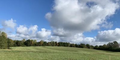 Long Branch Farm