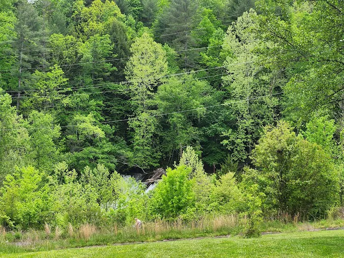 Henry River Mill Village 4