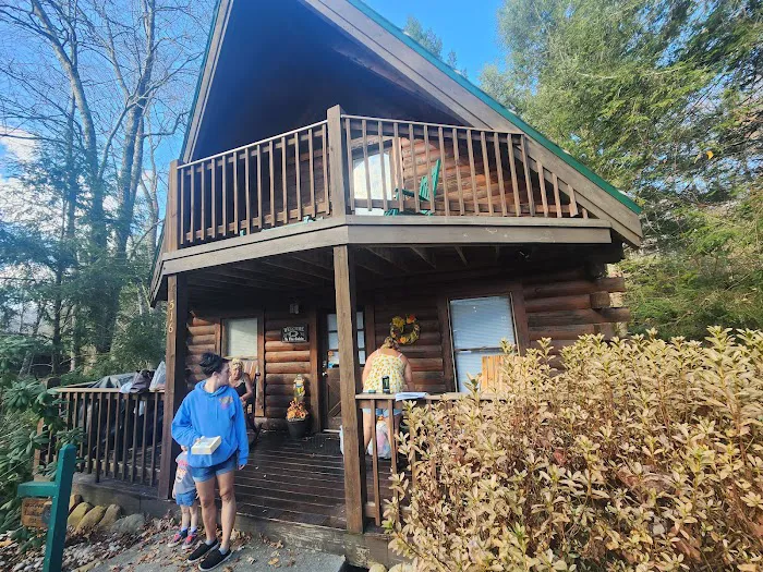 Cozy Nest Cabin 4