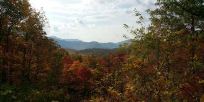 Southern Serenity