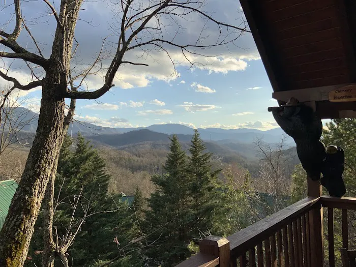 Black Bear Falls Log Home Community 4