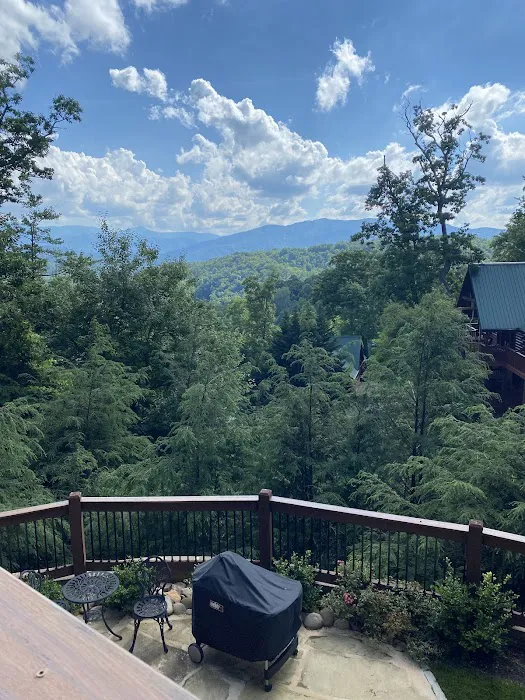 Black Bear Falls Log Home Community 4