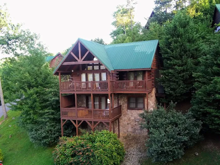 Black Bear Falls Log Home Community 4