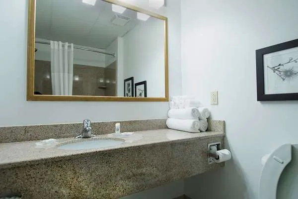 Country Inn & Suites by Radisson, Augusta at I-20, GA 5