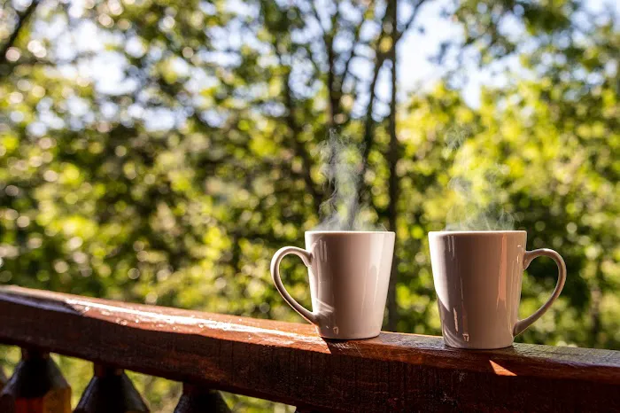 Homegrown Hideaways: Bearfoot in Smokies 4