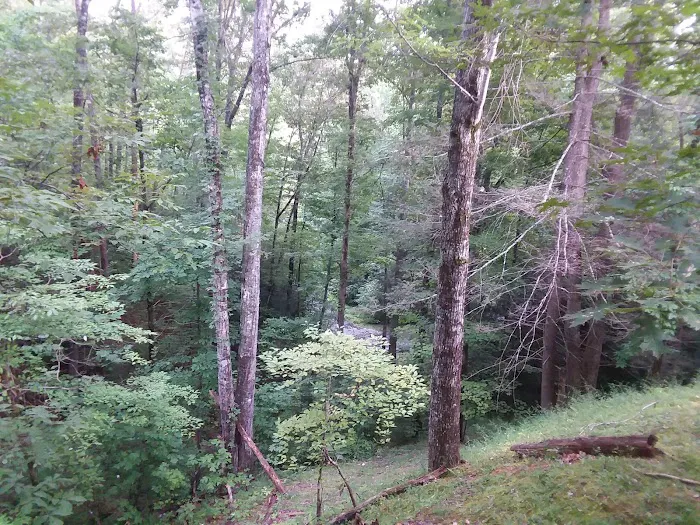 Hawks Landing Cabin 3
