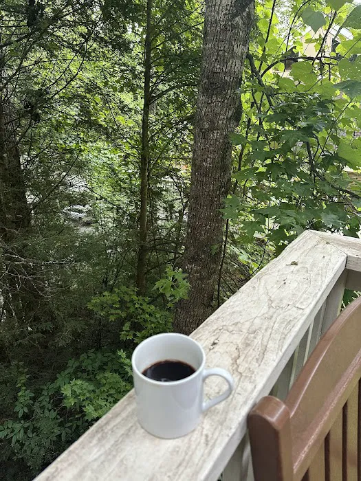 Townhome 119 at Bluegreen Vacations MountainLoft Resort 4
