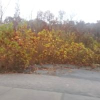 Townhome 166 at Bluegreen Vacations MountainLoft Resort ico