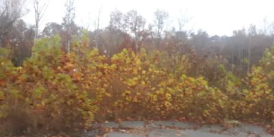 Townhome 166 at Bluegreen Vacations MountainLoft Resort