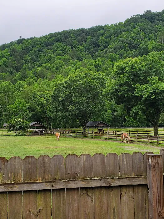 The Bunk House 4