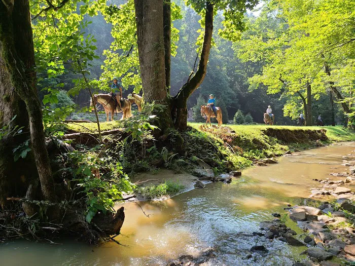 Mulberry Creek 4