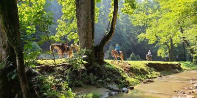 Mulberry Creek