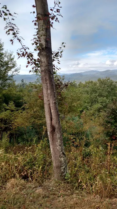 Hawk's View 4