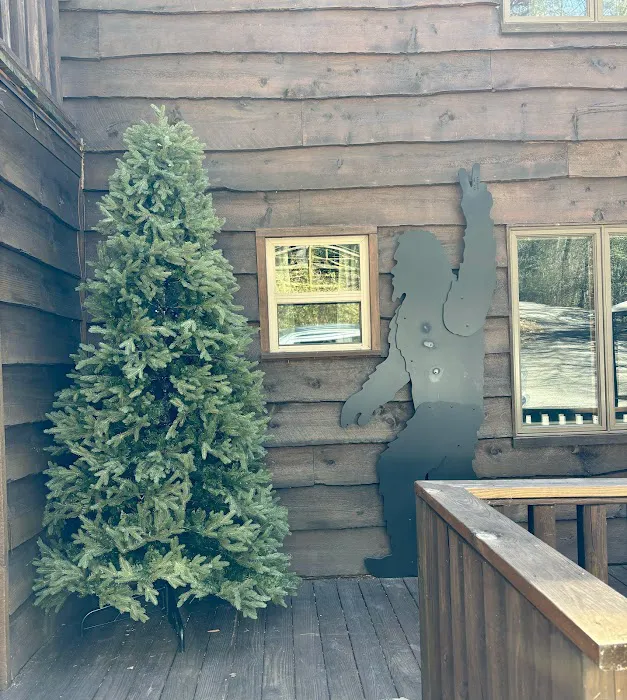 Serenity Now mountain cabin, Leatherwood Mountains resort, Ferguson, NC 4