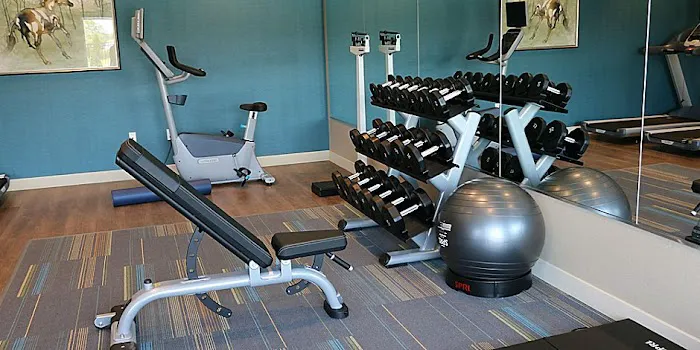Holiday Inn Express & Suites Hendersonville SE - Flat Rock, an IHG Hotel 4