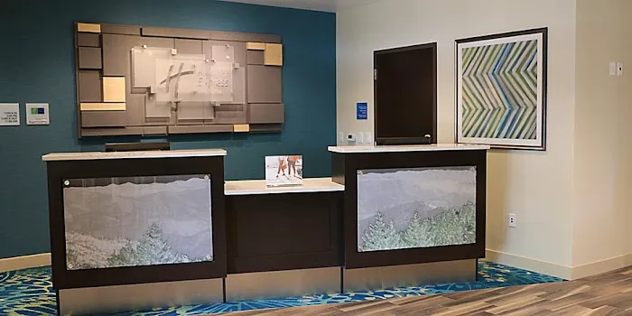 Holiday Inn Express & Suites Hendersonville SE - Flat Rock, an IHG Hotel 4
