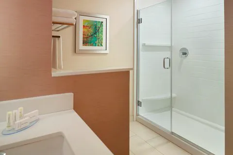 Fairfield Inn & Suites Hendersonville Flat Rock 4